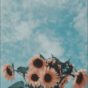 Meet your Posher, Joellyn